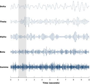 EEG Brainwaves.png